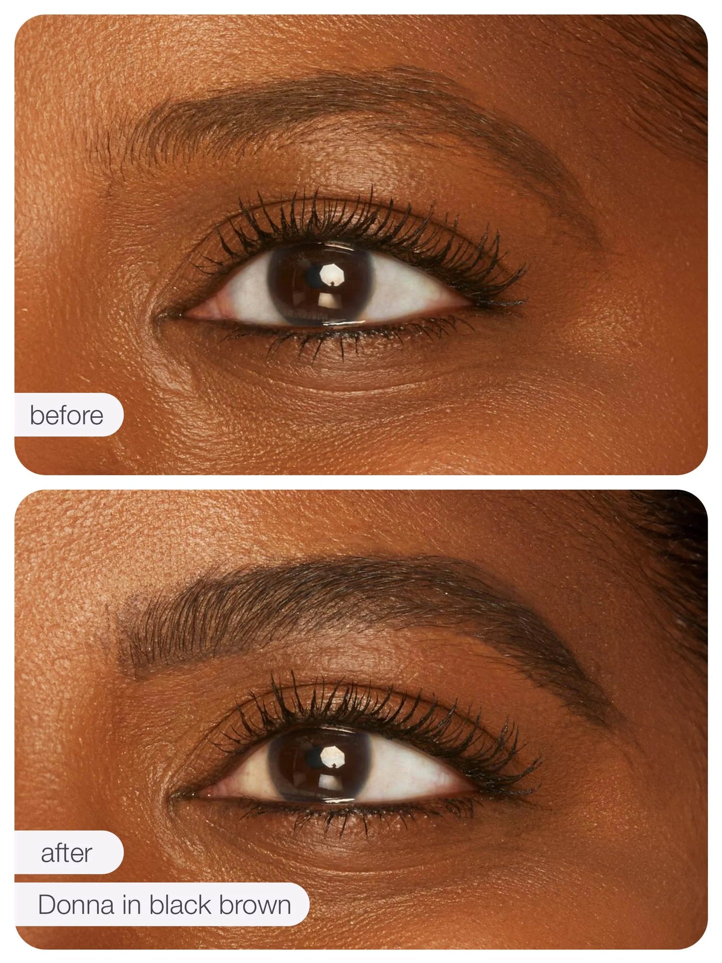 Amazonian clay precision brow lift