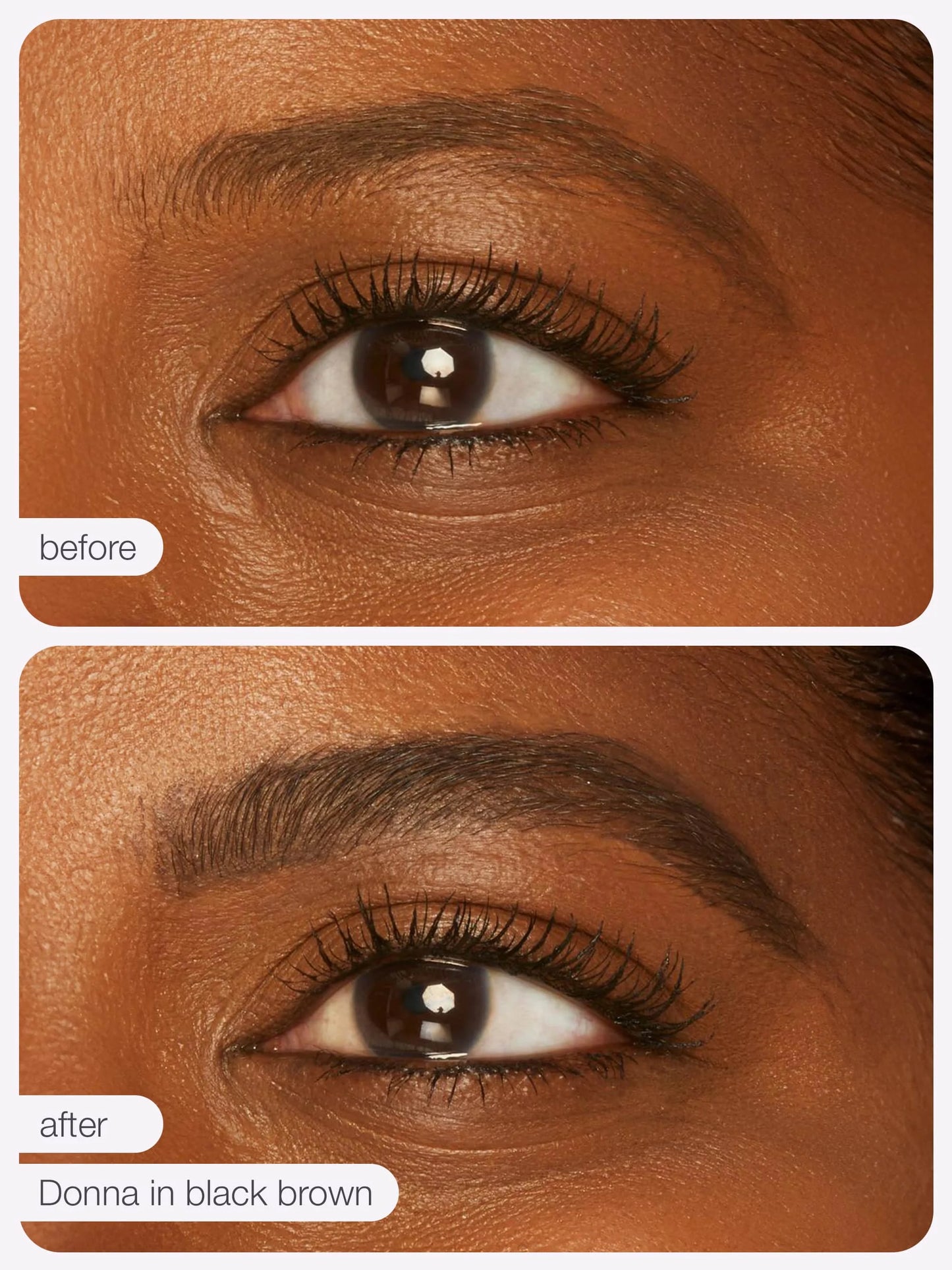 maneater™ emphasEYES™ high definition brow