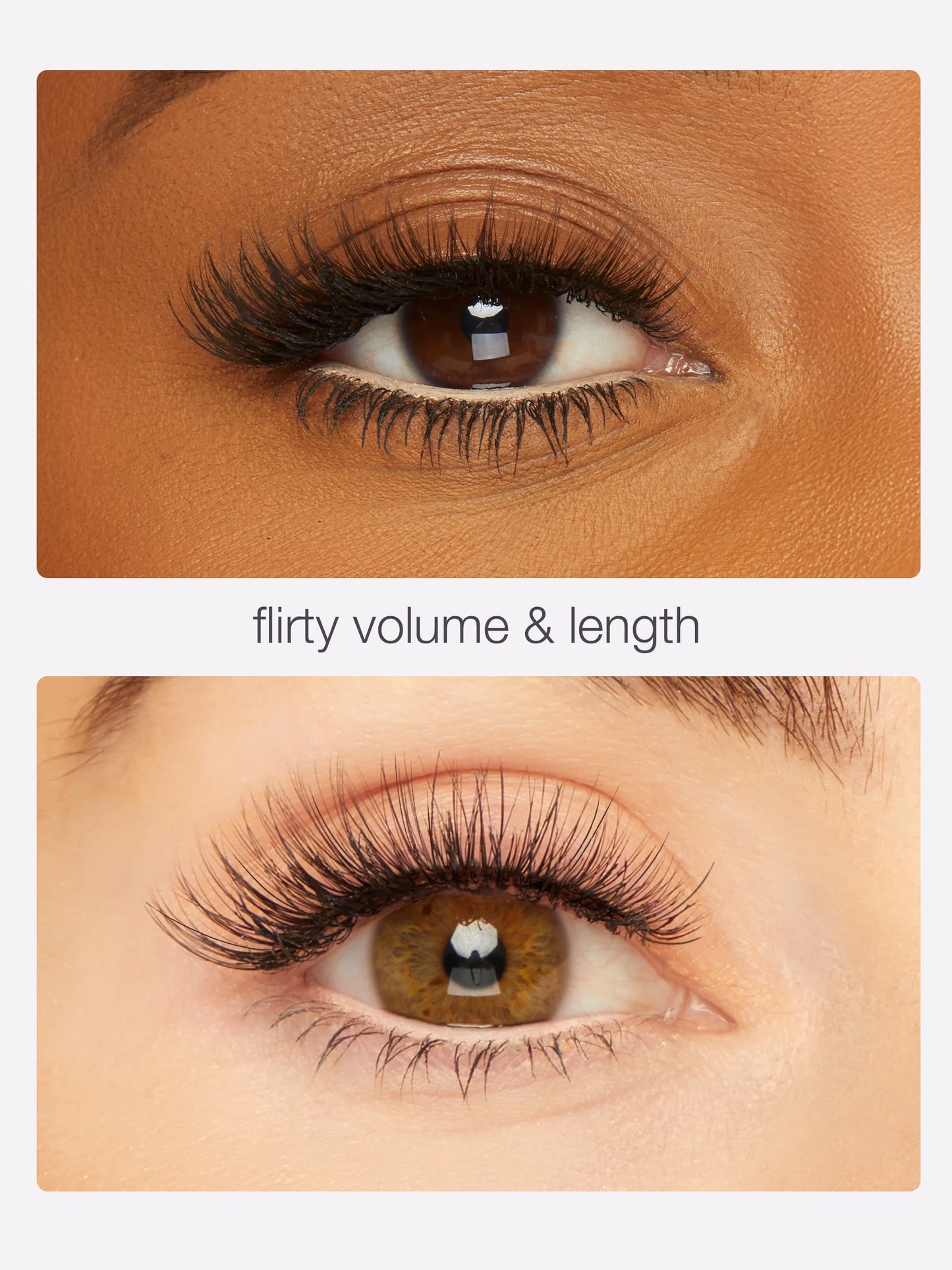 wide awake lashes & liner set