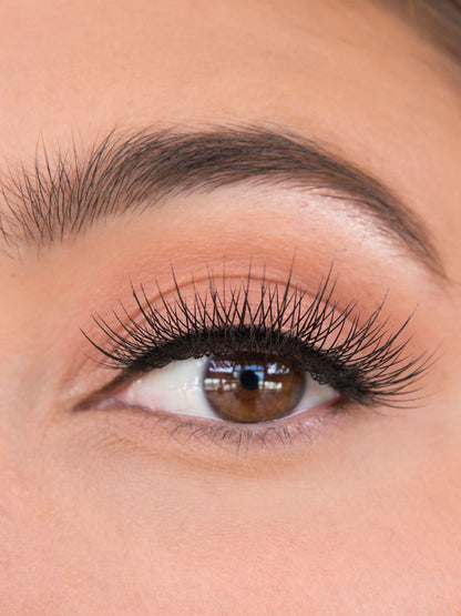 cruelty-free lashes