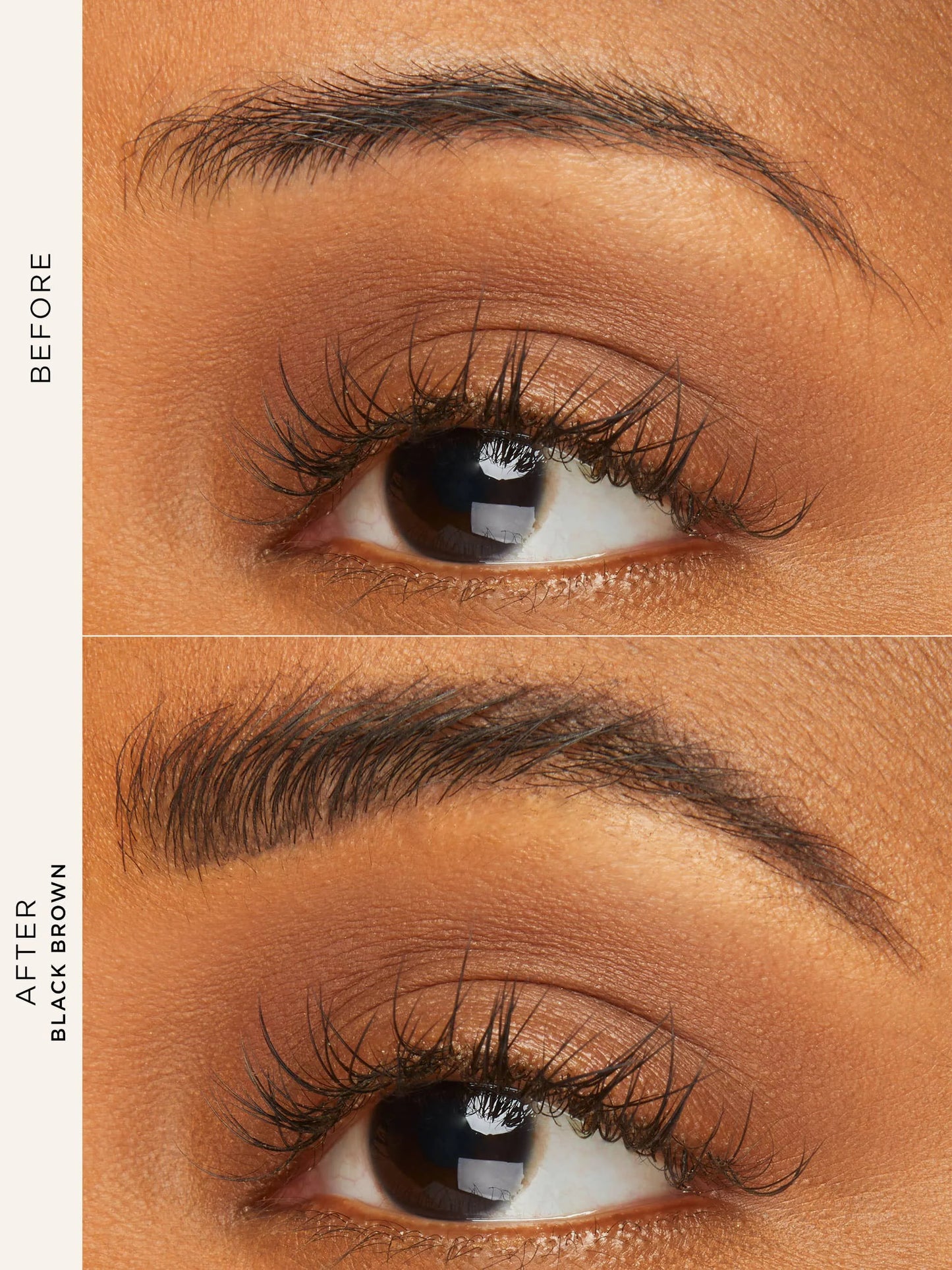 24hr tinted brow gel