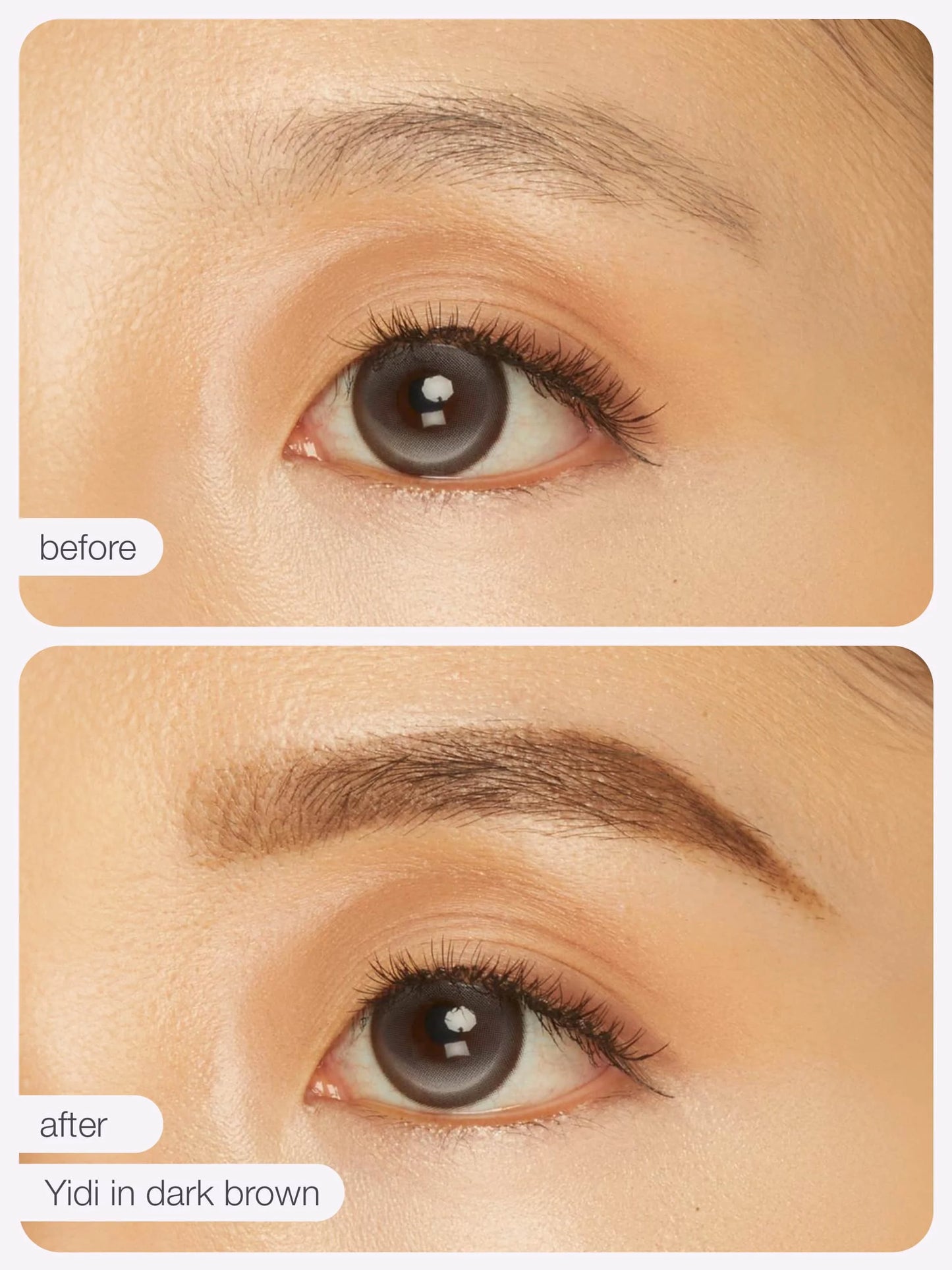maneater™ emphasEYES™ high definition brow