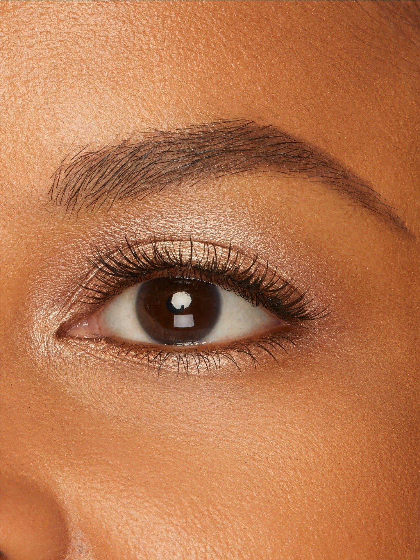 Amazonian clay cream shadow