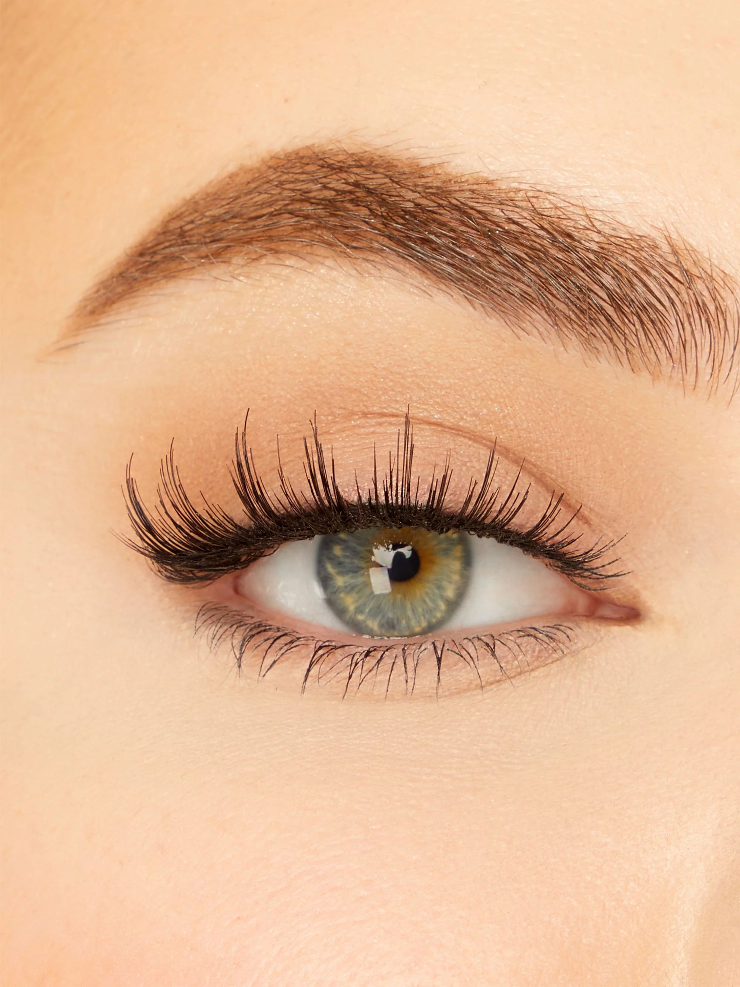 cruelty-free lashes